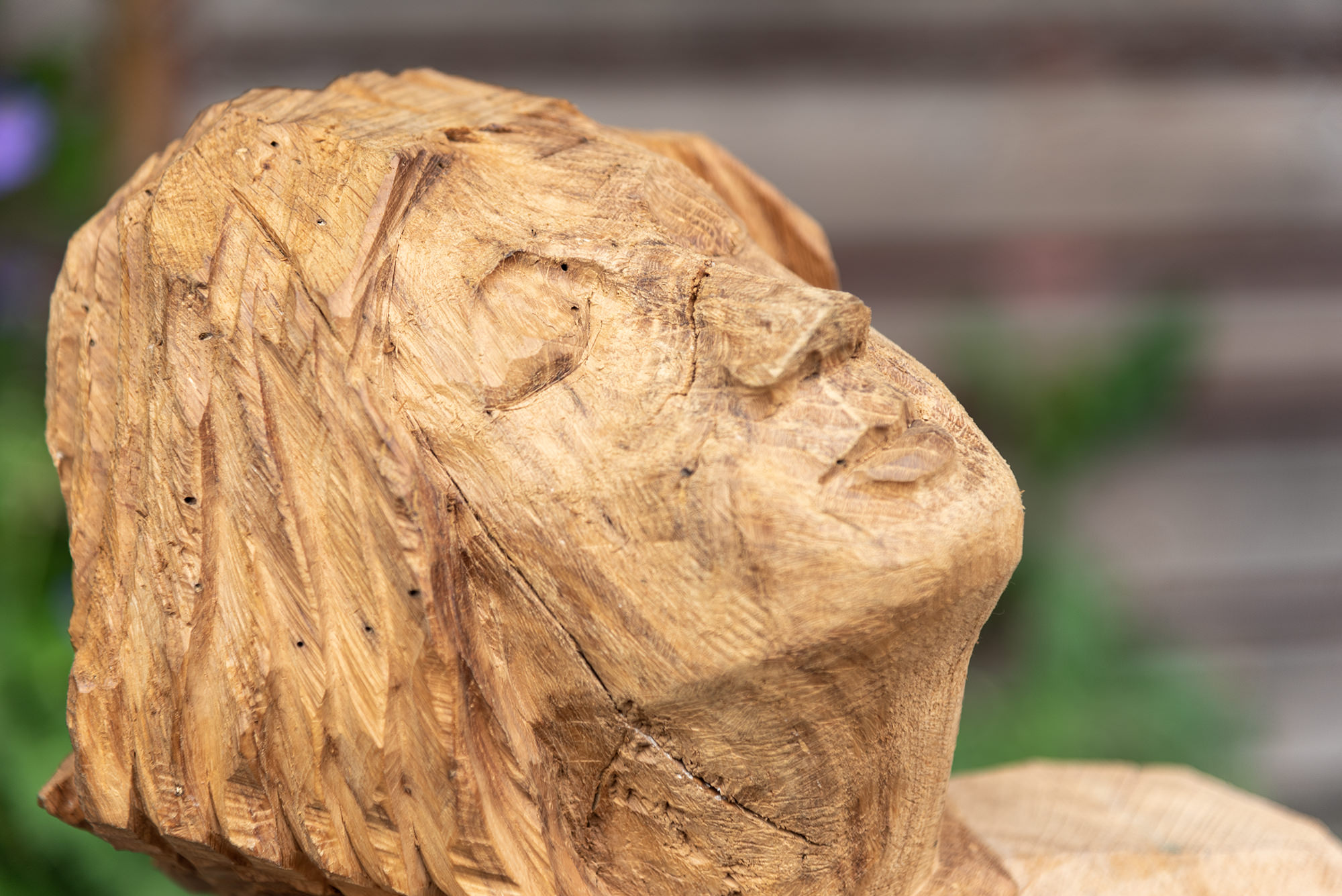 Dynamisch - Detail - Markus Buschor