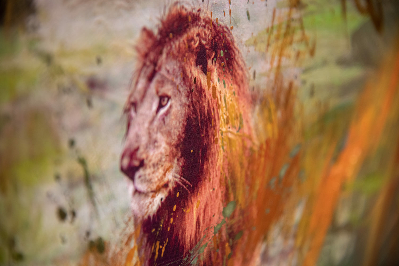 The King of Massai Mara - Detail 02 - Suzanne Ledergerber